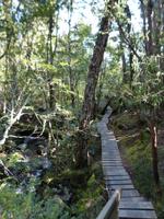 123.Cradle Mountain NP