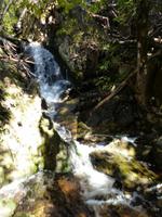 125.Cradle Mountain NP