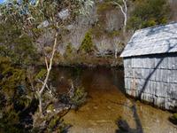 129.Cradle Mountain NP