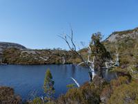 136.Cradle Mountain NP
