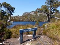 139.Cradle Mountain NP