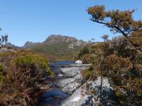 142.Cradle Mountain NP