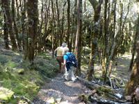 151.Cradle Mountain NP-Speeler Track