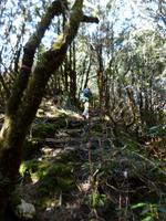 153.Cradle Mountain NP-Speeler Track