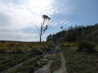 157.Cradle Mountain NP-Speeler Track