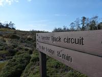 163.Cradle Mountain NP-Speeler Track