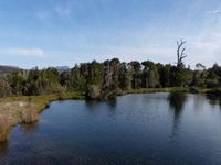 166.Cradle Mountain NP-Speeler Track