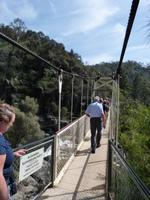 181.Cataract Gorge