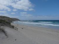 195.Seal Bay-Kangaroo Island