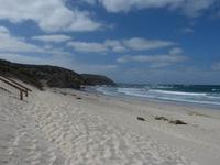 199.Seal Bay-Kangaroo Island