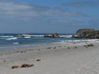 200.Seal Bay-Kangaroo Island