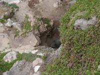 247.Admirals Arch-Kangaroo Island