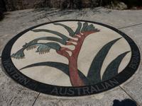 262.Kanguru Pfötchen-Perth