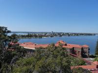 267.Kings Park-Perth