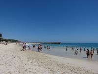 273.Cottesloe Beach