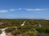 307.Wedge Island Lookout
