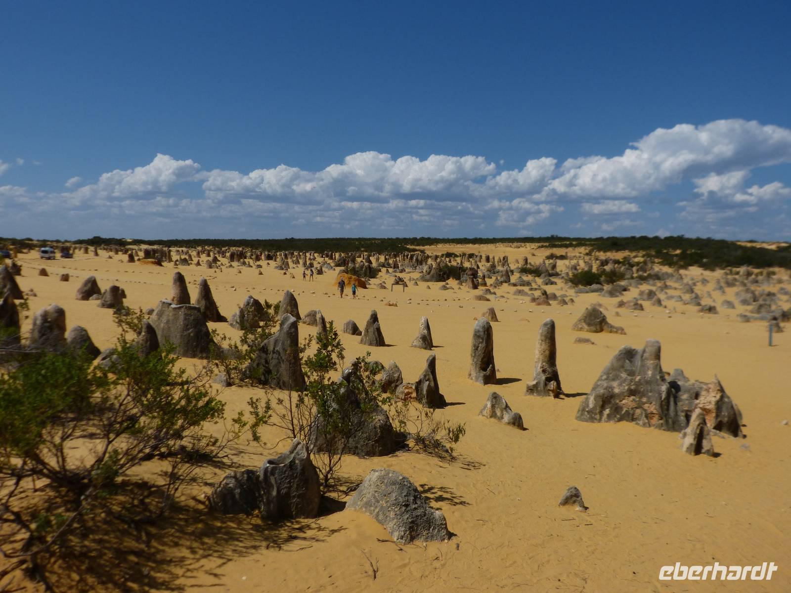 315.Pinnacles-Nambung NP