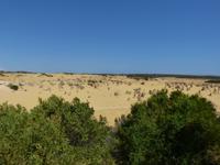 323.Pinnacles-Nambung NP