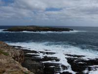 238.Admirals Arch-Kangaroo Island