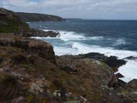 239.Admirals Arch-Kangaroo Island