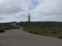 248.Admirals Arch-Kangaroo Island