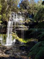 Russel Wasserfälle Mount Field Nationalpark