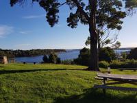 Blick vom Hotel auf die Bucht in Strahan