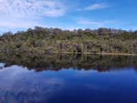 Wunderschöne Spiegelung auf dem Gordon River