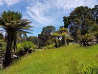 Ehemalige Sträflingsinsel Sarah Island