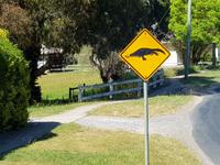 Achtung Schnabeltier - aber gesehen haben wir leider keins