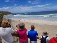 Sealbay auf Kangaroo Island 