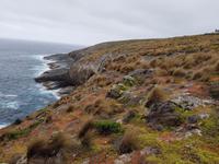 Admirals Arch auf Kangaroo Island