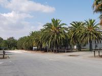 Seppeltsfield Barossa Valley