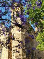 Universitätsgebäude Adelaide