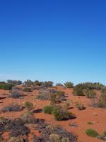 Die rote Wüste vom Ghan aus fotografiert