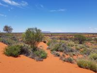 Blick auf Mount Connor