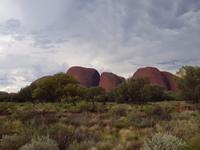 Kata Tjuta - die Olgas