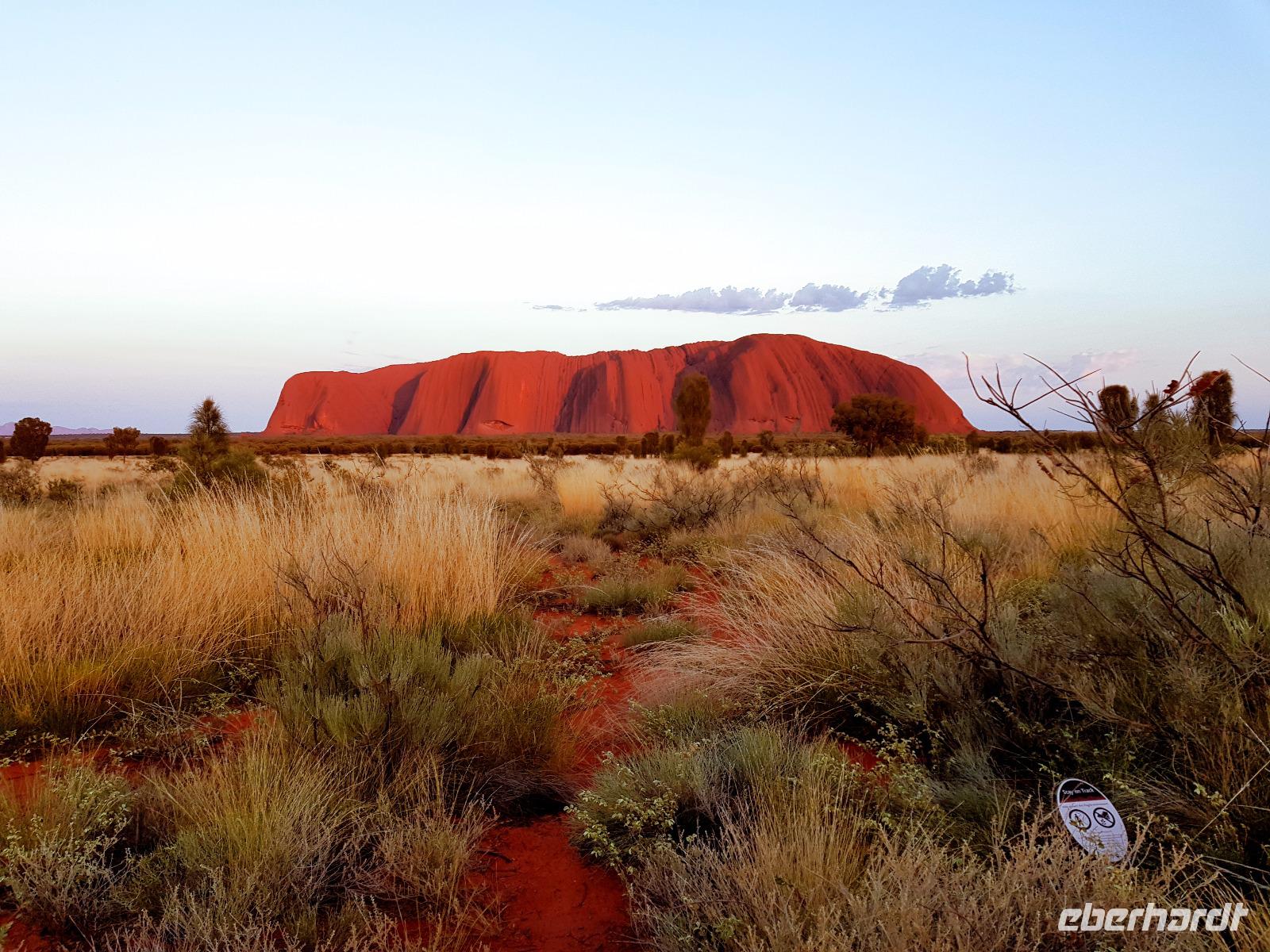 Sonnenaufgang am Uluru