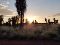 Sonnenaufgang am Uluru