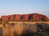 Sonnenaufgang am Uluru