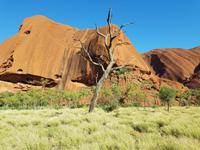 Uluru