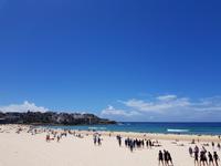 Bondi Beach Sydney