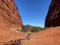 17. Reisetag – Ulu?u-Kata Tju?a National Park – Walpa Gorge