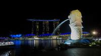 Singapur bei Nacht, Merlion