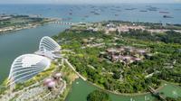 Gardens by the Bay, Singapur