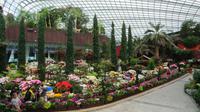 Flower Dome, Singapur