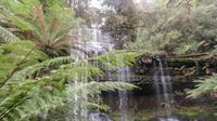 Russel Falls, Tasmanien