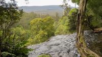 Russel Falls von oben, Tasmanien