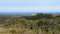 Henty Dunes, Tasmanien