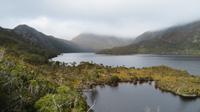 Cradle Mountain Nationalpark, Tasmanien